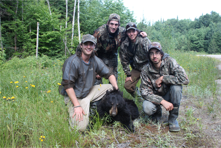 Spring black bear hunt (blinds and baited sites) — Pourvoirie Domaine Lounan – Pourvoirie Domaine Lounan